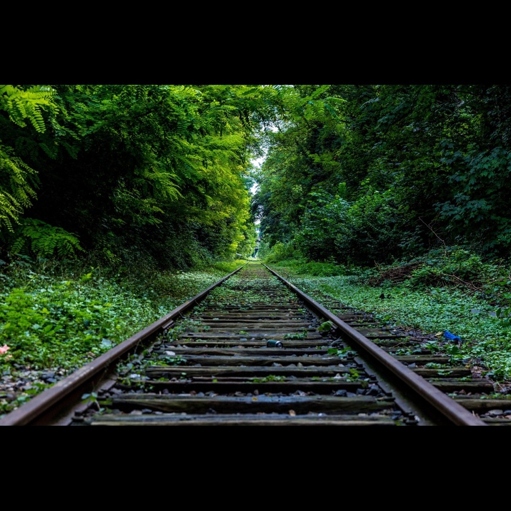 Meet your Posher, Samar